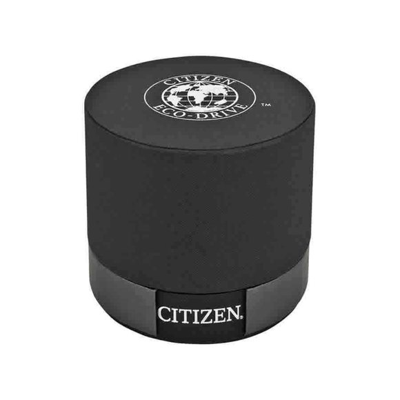 Citizen Diamond Mother of Pearl Ladies Watch w/ box